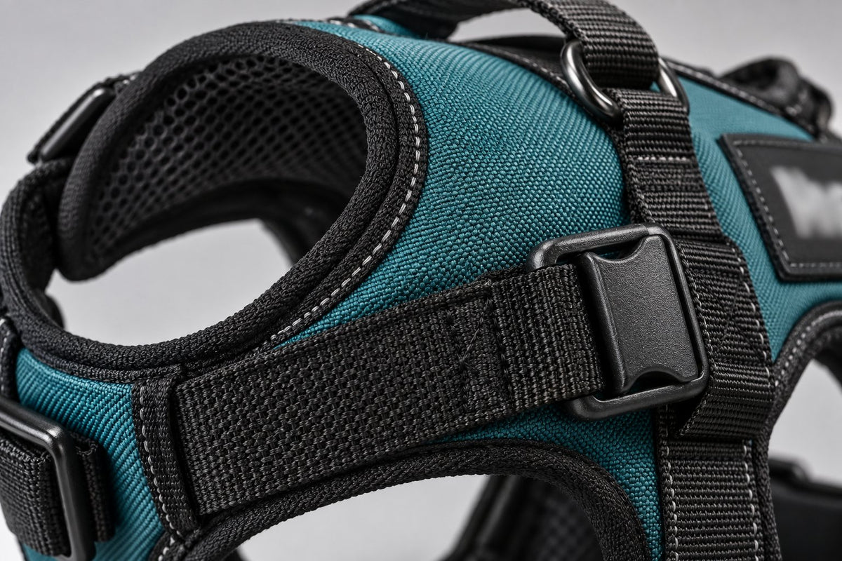 Personalized No-Pull Dog Harness for Easy Walks