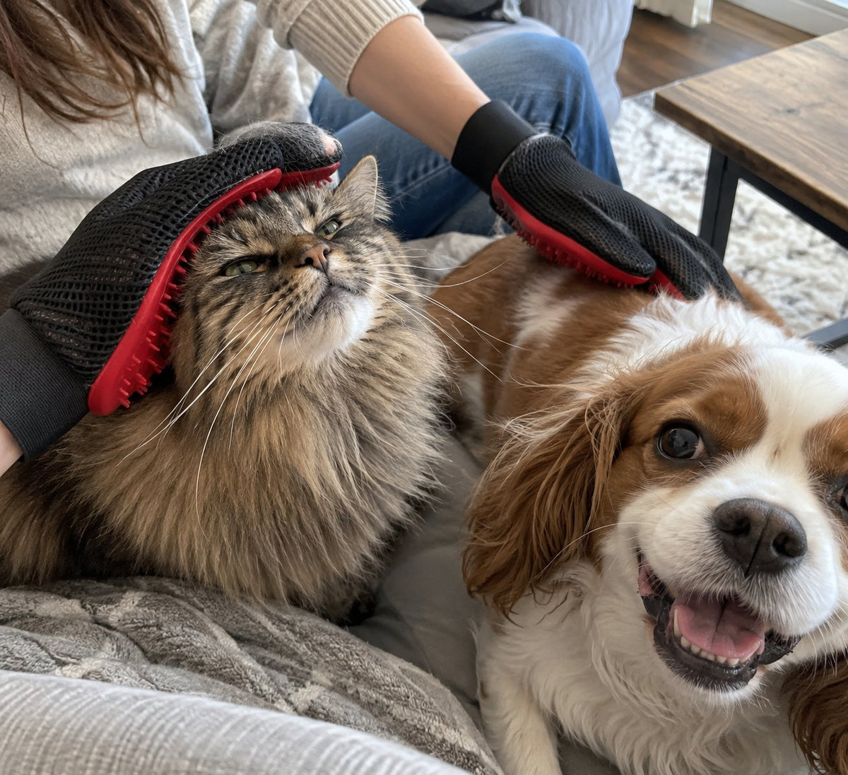 Effortless Pet Hair Remover Cleaning Glove