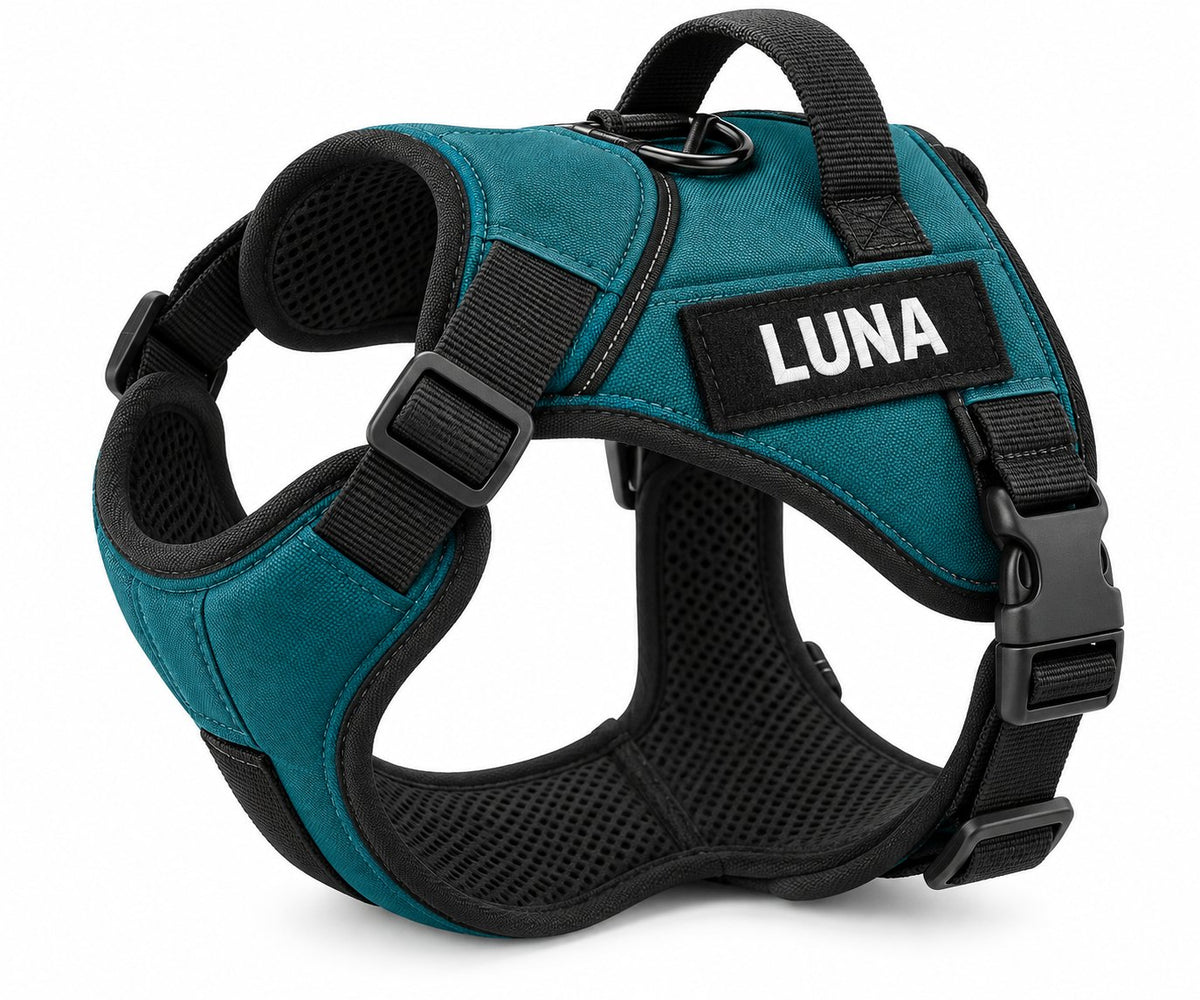 Personalized No-Pull Dog Harness for Easy Walks