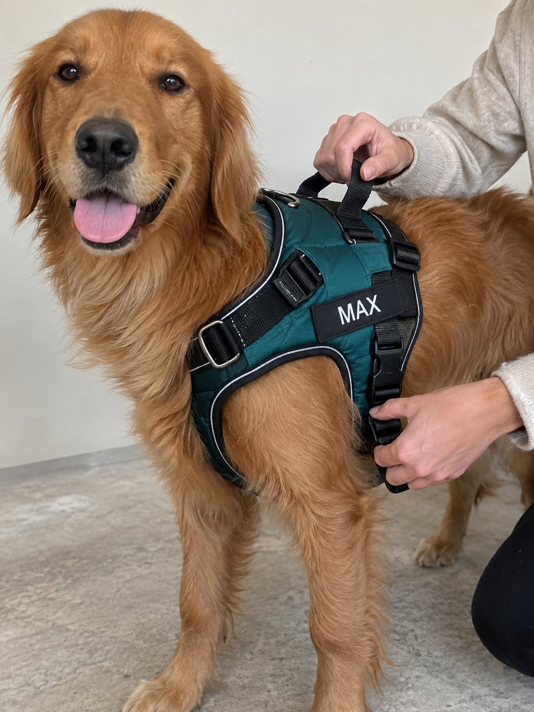 Personalized No-Pull Dog Harness for Easy Walks
