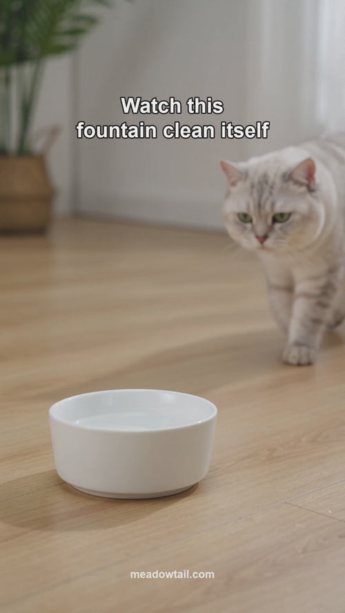 Meadowtail cat water fountain